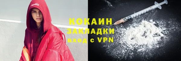 гидра Арсеньев