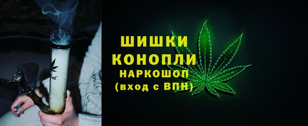 гидра Арсеньев