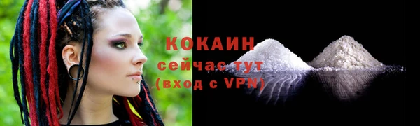 гидра Арсеньев