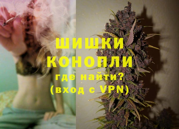 гидра Арсеньев