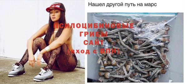 гидра Арсеньев