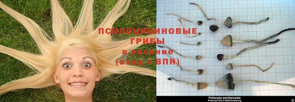 гидра Арсеньев