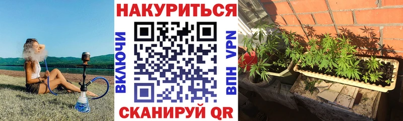 Бошки Шишки Amnesia  Печоры 